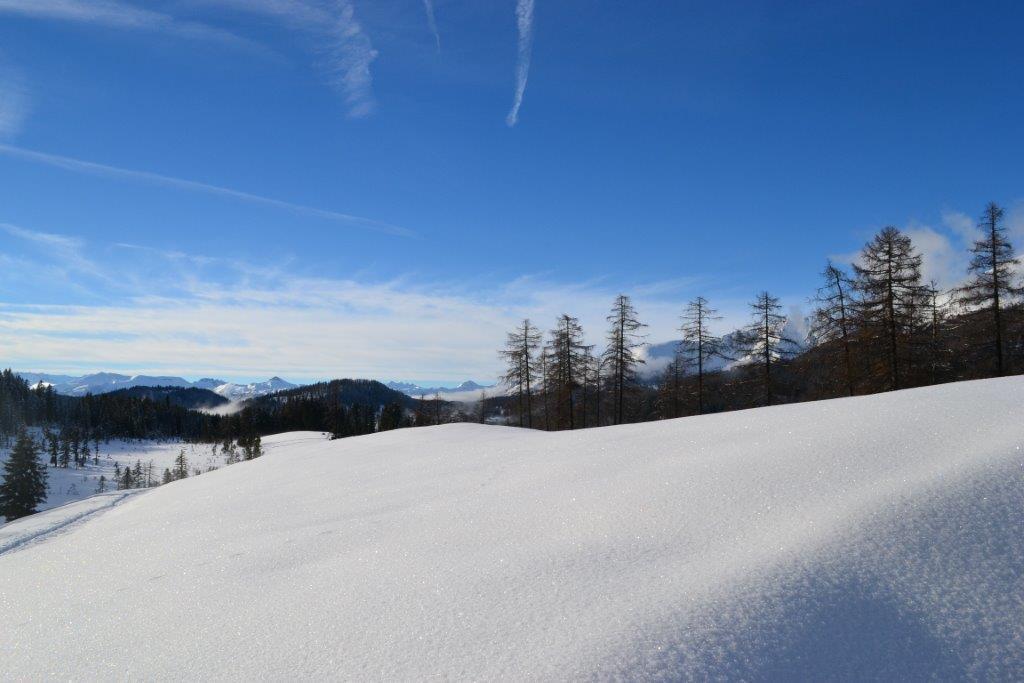 Haus Verdi Sankt Andrä im Lungau Dış mekan fotoğraf